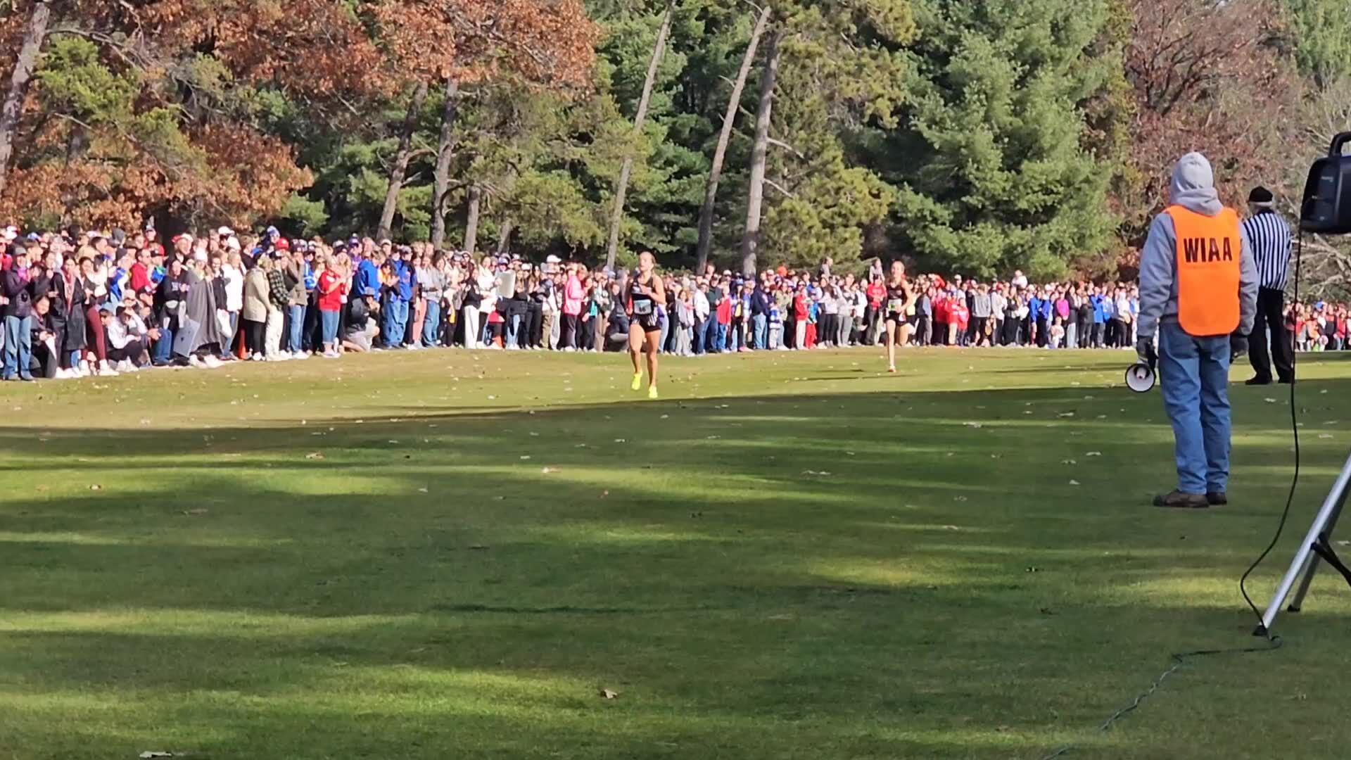 Deerfield/Cambridge's Emmerson Drobac hangs on for Division 2 girls title
